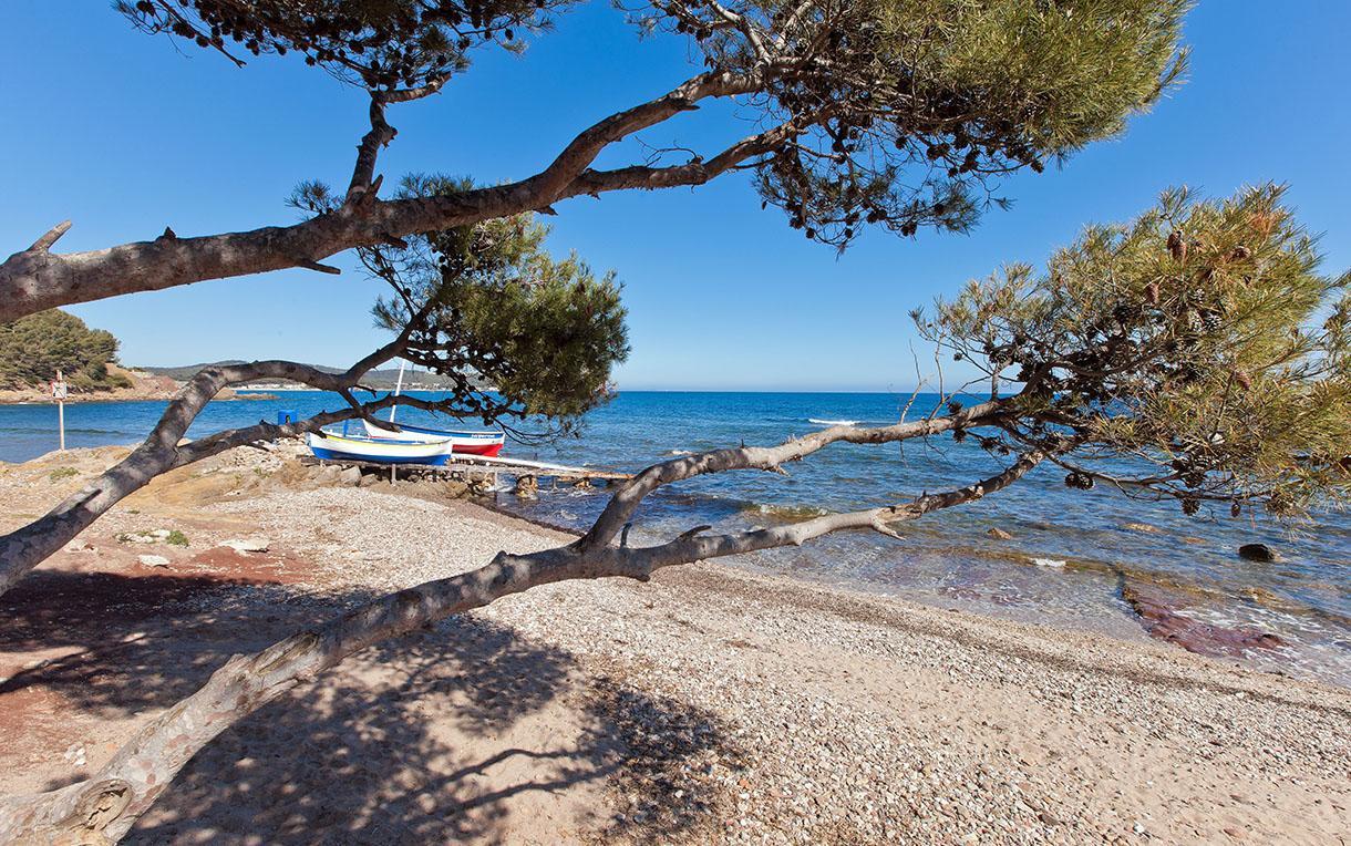 Villa-Chateau Les Terrasses - Tamaris, Plage Des Sablettes, Mer Au Bas De La Propriete La Seyne-sur-Mer Luaran gambar